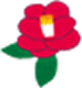 冬